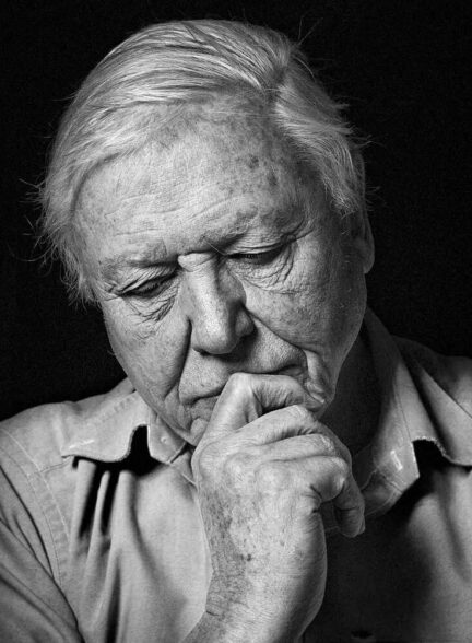 Attenboroug Parkinson Tribute