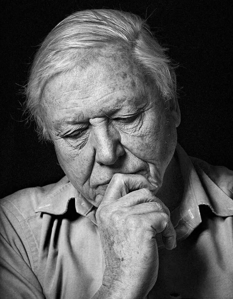 Attenboroug Parkinson Tribute