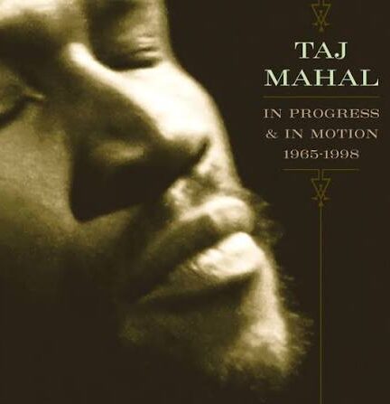 Checkin’ Up on My Baby by Taj Mahal